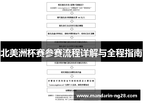 北美洲杯赛参赛流程详解与全程指南