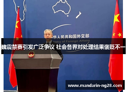 魏震禁赛引发广泛争议 社会各界对处理结果褒贬不一