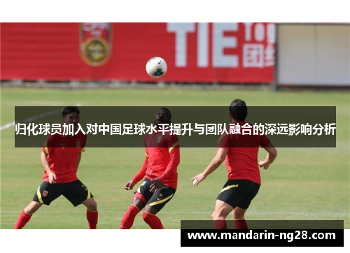 归化球员加入对中国足球水平提升与团队融合的深远影响分析
