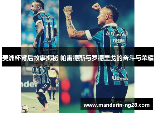 美洲杯背后故事揭秘 帕雷德斯与罗德里戈的奋斗与荣耀