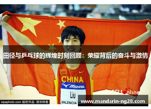 田径与乒乓球的辉煌时刻回顾：荣耀背后的奋斗与激情