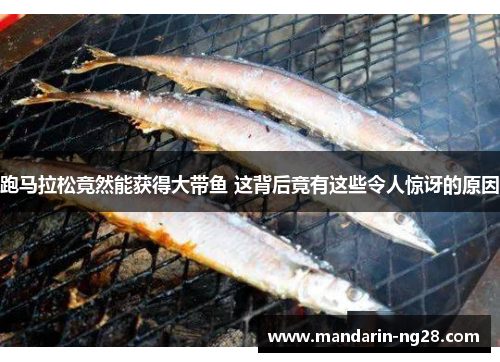 跑马拉松竟然能获得大带鱼 这背后竟有这些令人惊讶的原因