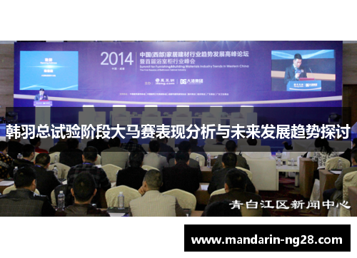 韩羽总试验阶段大马赛表现分析与未来发展趋势探讨