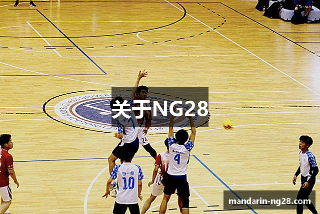 关于NG28